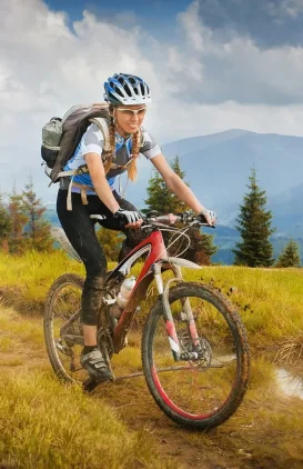 Llama – An App by CWRB Image