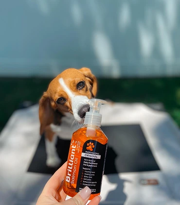 brilliantpetcare Image